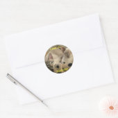 Sticker Rond L'amour est...... Siamais (Enveloppe)