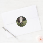 Sticker Rond Langue d'arrachage de vache (Enveloppe)