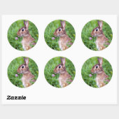 Sticker Rond Lapin (Feuille)