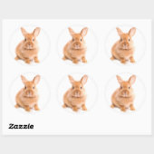 Sticker Rond Lapin (Feuille)