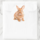 Sticker Rond Lapin (Sac)