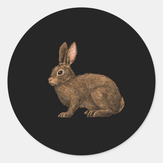 Sticker Rond Lapin 2 (Devant)