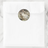 Sticker Rond Lapin à queue de coton R24 (Sac)
