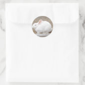 Sticker Rond Lapin blanc mou (Sac)