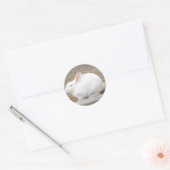 Sticker Rond Lapin blanc mou (Enveloppe)