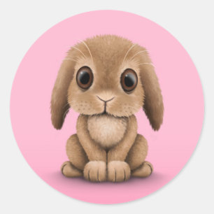 Sticker Rond Lapin Brown mignon de bébé sur le rose