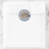 Sticker Rond Lapin Cottontail R5 (Sac)