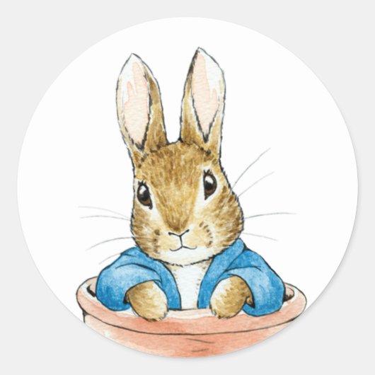 Sticker Rond Lapin de garenne (Devant)