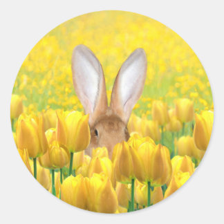 Sticker Rond Lapin de Pâques