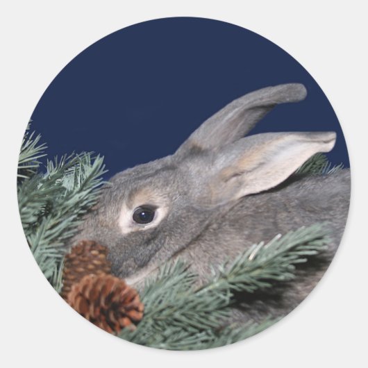 Sticker Rond Lapin de vacances (Devant)