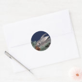 Sticker Rond Lapin de vacances (Enveloppe)