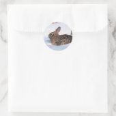Sticker Rond Lapin d'hiver (Sac)