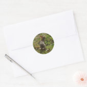 Sticker Rond Lapin Lapin (Enveloppe)