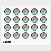 Sticker Rond Lapin Lapin Lapin Lionhead Fluffy (Feuille)