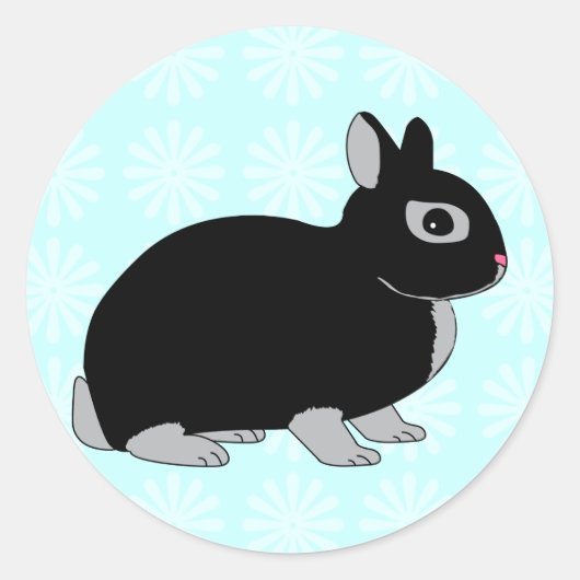 Sticker Rond Lapin nain du Pays-Bas (Devant)