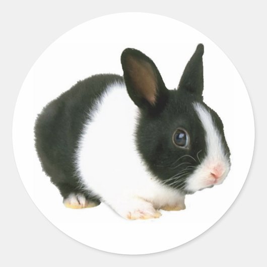 Sticker Rond Lapin noir et blanc (Devant)