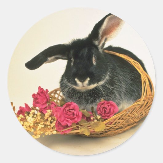 Sticker Rond Lapin renard argenté nommé Boris fleurs (Devant)