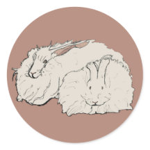 Lapins gigantesques Angora