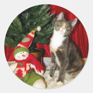 Sticker Rond L'arbre de Noël de la princesse Tiana - Chat / Cha