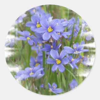 Sticker Rond Larkspur