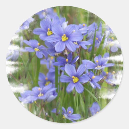 Sticker Rond Larkspur (Devant)