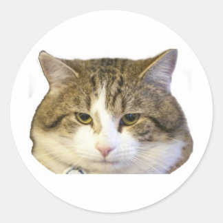 Sticker Rond Larry le visage de chat de la rue Downing