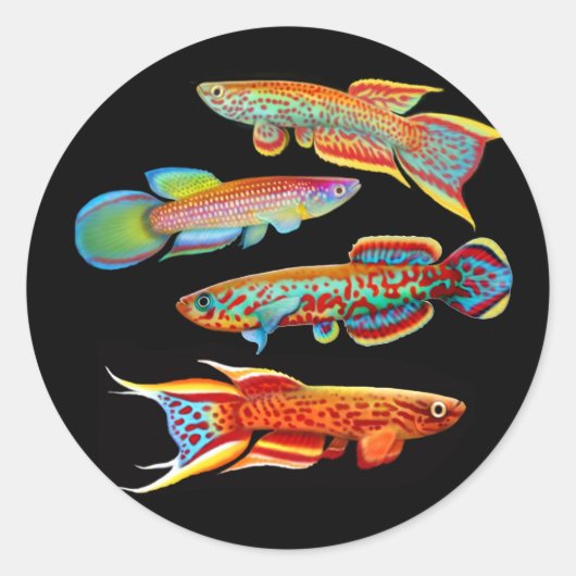 Sticker Rond L'autocollant Killifish (Devant)