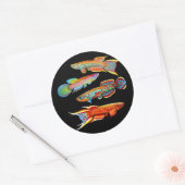 Sticker Rond L'autocollant Killifish (Enveloppe)