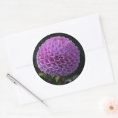 Sticker Rond Lavander Dahlia (Enveloppe)