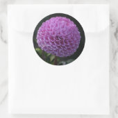 Sticker Rond Lavander Dahlia (Sac)