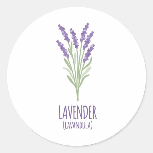 Sticker Rond Lavender Lavandula (Devant)