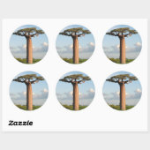 Sticker Rond Le baobab Madagascar de Grandidier (Feuille)
