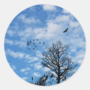 Sticker Rond Le blanc de ciel bleu opacifie l'herbe d'arbre