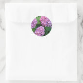 Sticker Rond Le buisson d'hortensia rose (Sac)