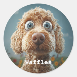 Sticker Rond Le caniche australien à gros nez