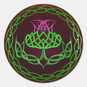 Sticker Rond Le chardon de nouilles colorées