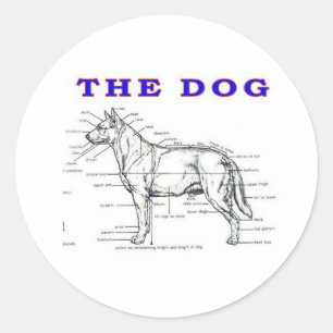 STICKER ROND LE CHIEN