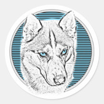 Le chien de Siberian Husky sur la lune