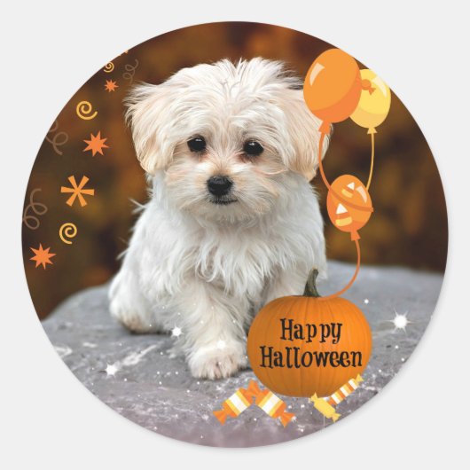 Sticker Rond Le Chiot Maltais fête Halloween (Devant)
