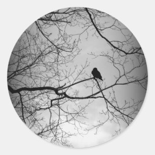 Sticker Rond Le Corbeau