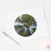 Sticker Rond Le couvert forestier de Douglas (Enveloppe)