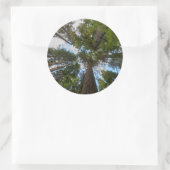 Sticker Rond Le couvert forestier de Douglas (Sac)