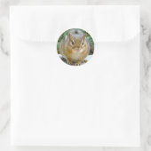 Sticker Rond Le Cute Chipmunk A L'Oeil Sur Vous (Sac)