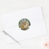 Sticker Rond Le Cute Chipmunk A L'Oeil Sur Vous (Enveloppe)