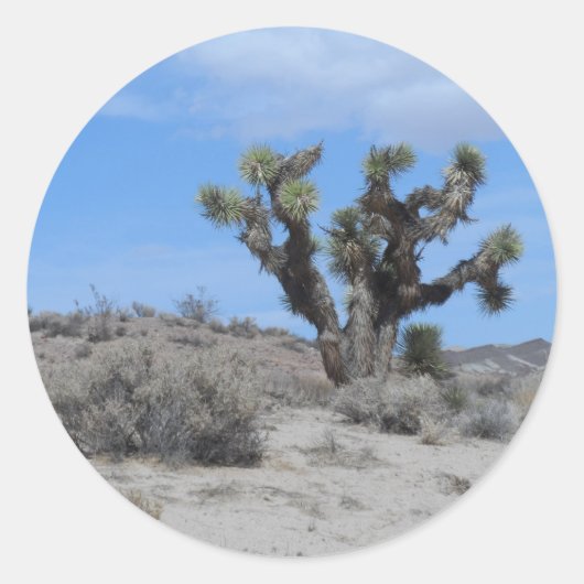 Sticker Rond Le désert de Mojave Joshua Tree (Devant)