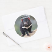 Sticker Rond Le diable de Tasmanie en Australie (Enveloppe)