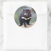 Sticker Rond Le diable de Tasmanie en Australie (Sac)