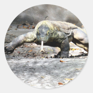 Sticker Rond Le dragon de Komodo sur les chasses