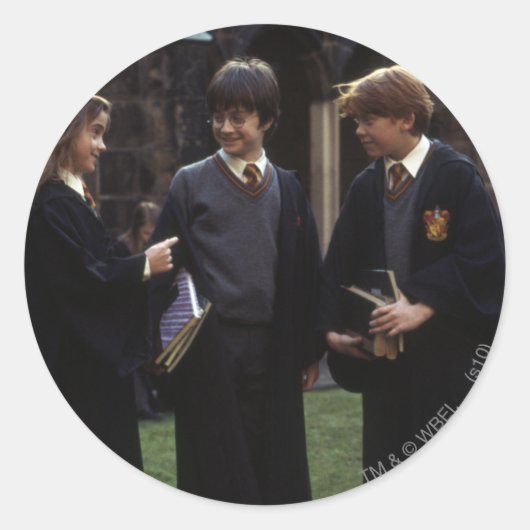Sticker Rond Le groupe en dehors de Hogwarts (Devant)