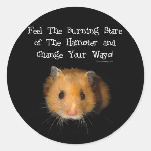 Sticker Rond Le Hamster